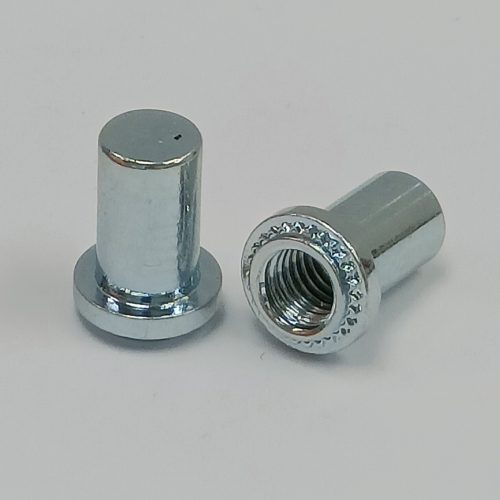 Blind Nut <br/> (B, BS)