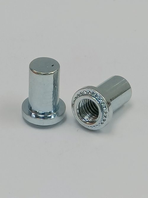 Blind Nut <br/> (B, BS)